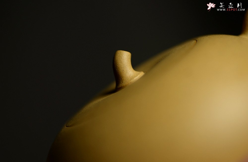 紫砂壶图片：于洪霞全手新品 娇小可人 纯正本山段泥  秋之小瓜  - 美壶网