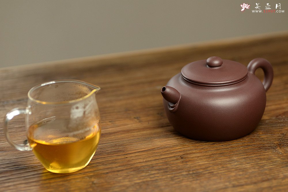 紫砂壶图片：陈进全手新品  全手薄胎无欲 造型新颖 有趣 - 美壶网