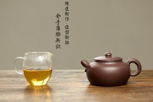 陈进紫砂壶 陈进全手新品  全手薄胎无欲 造型新颖 有趣 原矿底槽清