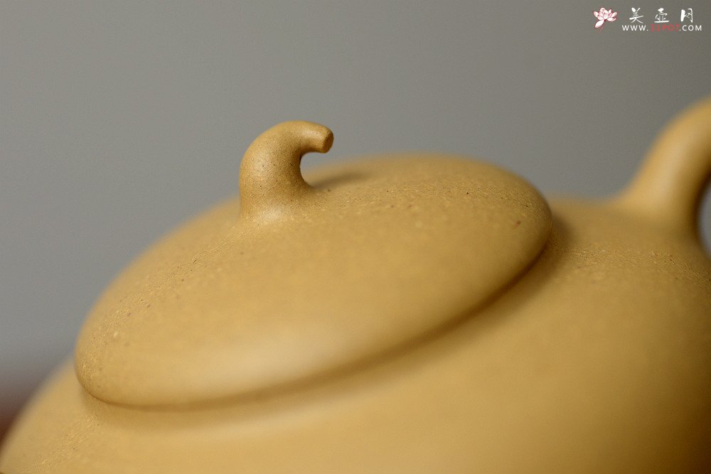 紫砂壶图片：于洪霞全手新品 灵气可人 纯正本山段泥 瓜 - 美壶网