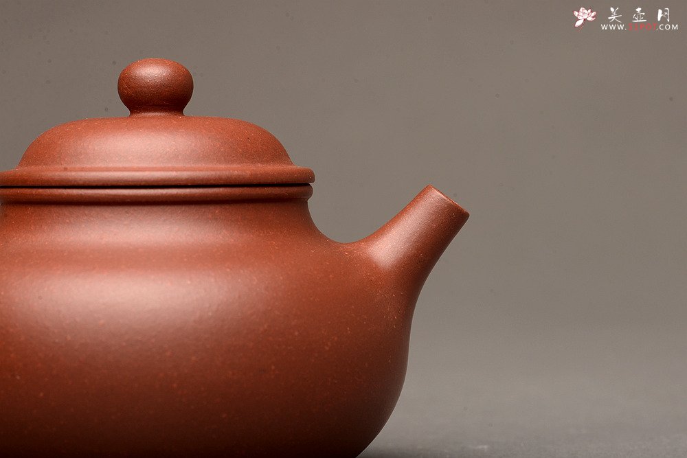 紫砂壶图片：美壶特惠之容天壶 超级实用品 性价比极高 - 美壶网