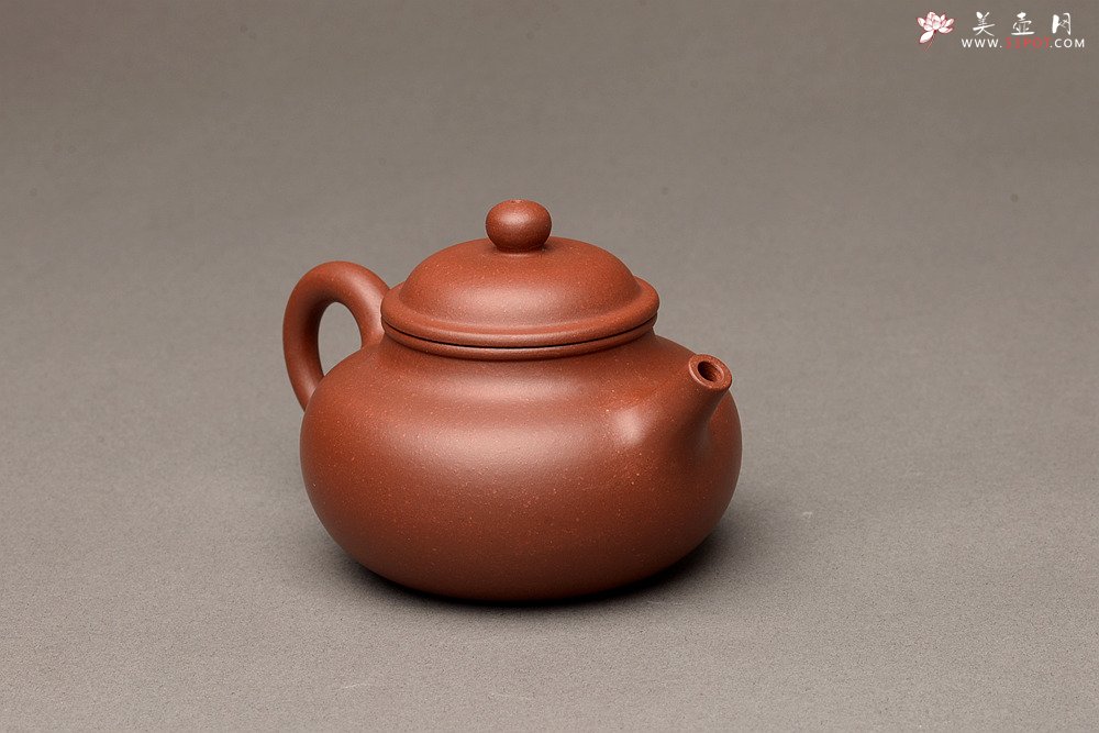 紫砂壶图片：美壶特惠之容天壶 超级实用品 性价比极高 - 美壶网