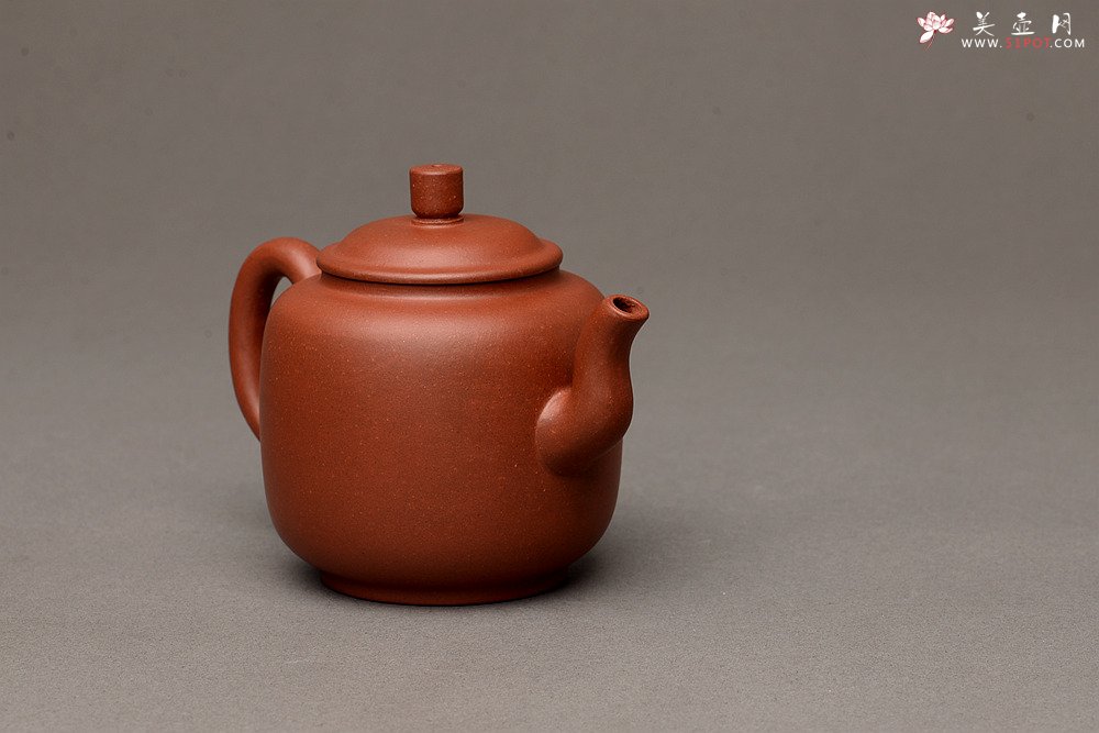 紫砂壶图片：美壶特惠之宫灯 亭亭玉立 有趣实用品 - 美壶网
