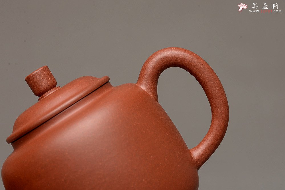 紫砂壶图片：美壶特惠之宫灯 亭亭玉立 有趣实用品 - 美壶网