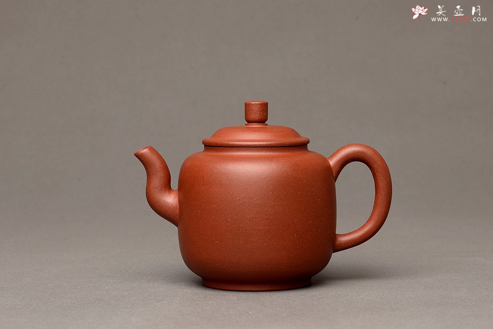 紫砂壶图片：美壶特惠之宫灯 亭亭玉立 有趣实用品 - 美壶网