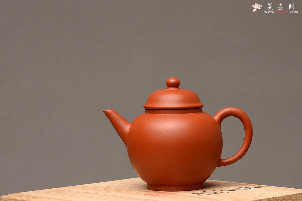 紫砂壶图片：美壶特惠 性价比极高 功夫茶利器 优质朱泥~~高水平 - 美壶网