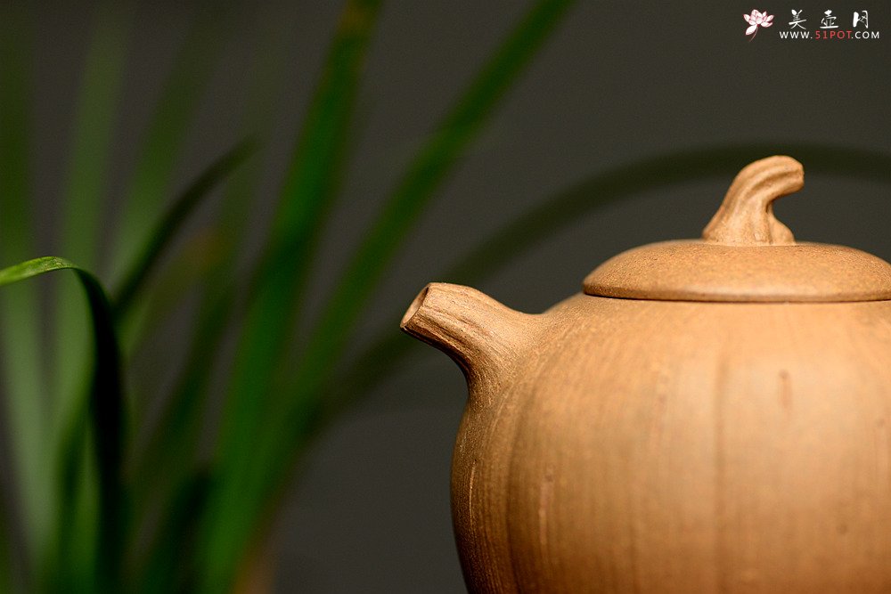 紫砂壶图片：姜建荣全手作品 古朴之味 全手硕果 - 美壶网