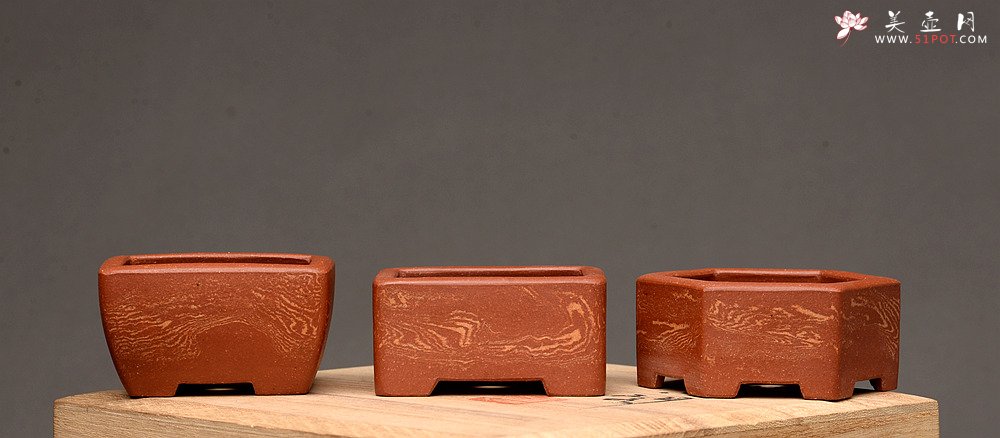 紫砂壶图片：张秋平全手微型胶泥小花盆 美壶网回馈之作 更加漂亮 - 美壶网