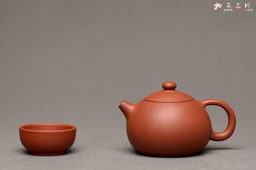 紫砂壶图片：美壶特惠 老味 美壶定制小品 红美人~ 摹古小西施 - 美壶网