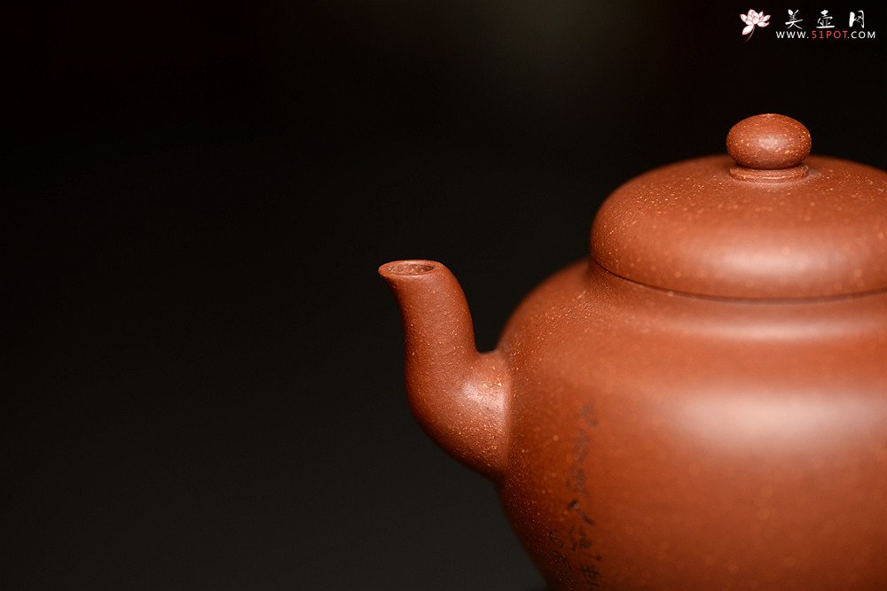紫砂壶图片：亭亭玉立 素心静气 弯嘴莲子 - 美壶网