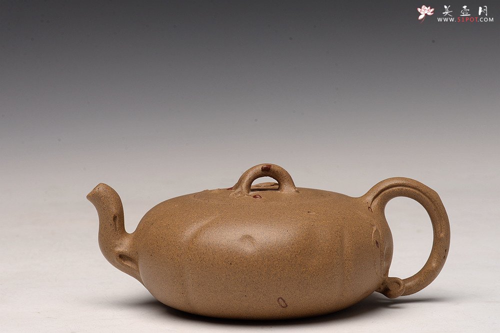 紫砂壶图片：高雪琴新作 优质老段泥 贴叶灵动 大口实用 全手春趣 - 美壶网