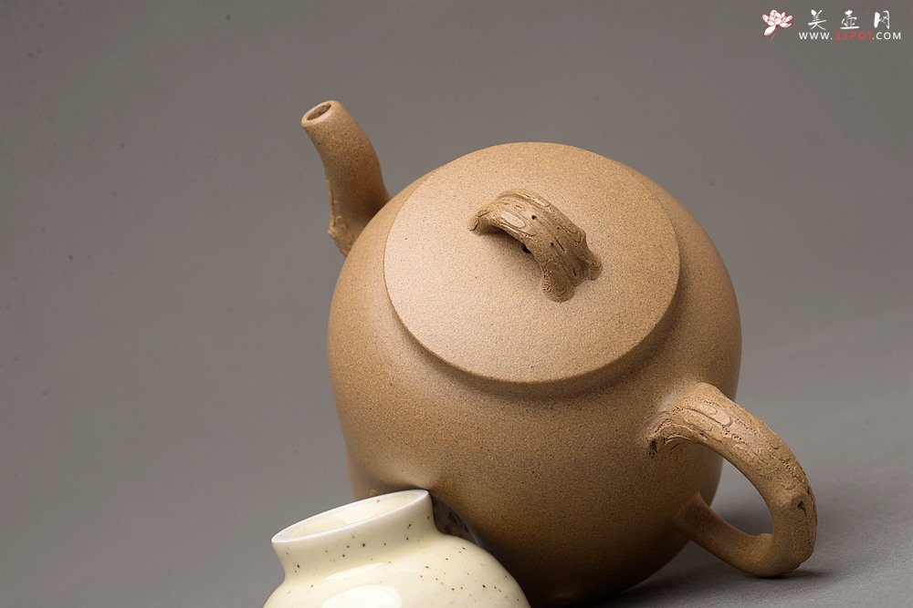紫砂壶图片：高雪琴全手新作 优质段泥 端庄丰润 缎松 松皮逼真 - 美壶网