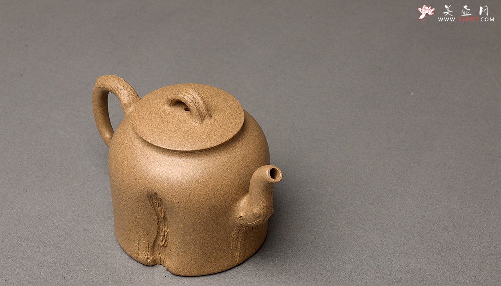 紫砂壶图片：高雪琴全手新作 优质段泥 端庄丰润 缎松 松皮逼真 - 美壶网