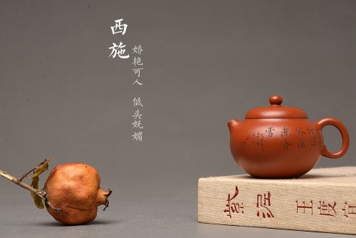 张云熙紫砂壶 娇艳玉人小西施 张云熙乙未年冬作品 茶盘尤物 优雅饱满 线条灵动 原矿朱泥