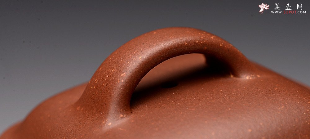 紫砂壶图片：储俊伟乙未年冬精品工力作 雄厚雄劲 高瞻远瞩 全手金砂传炉 赵辉先生文气装饰 - 美壶网