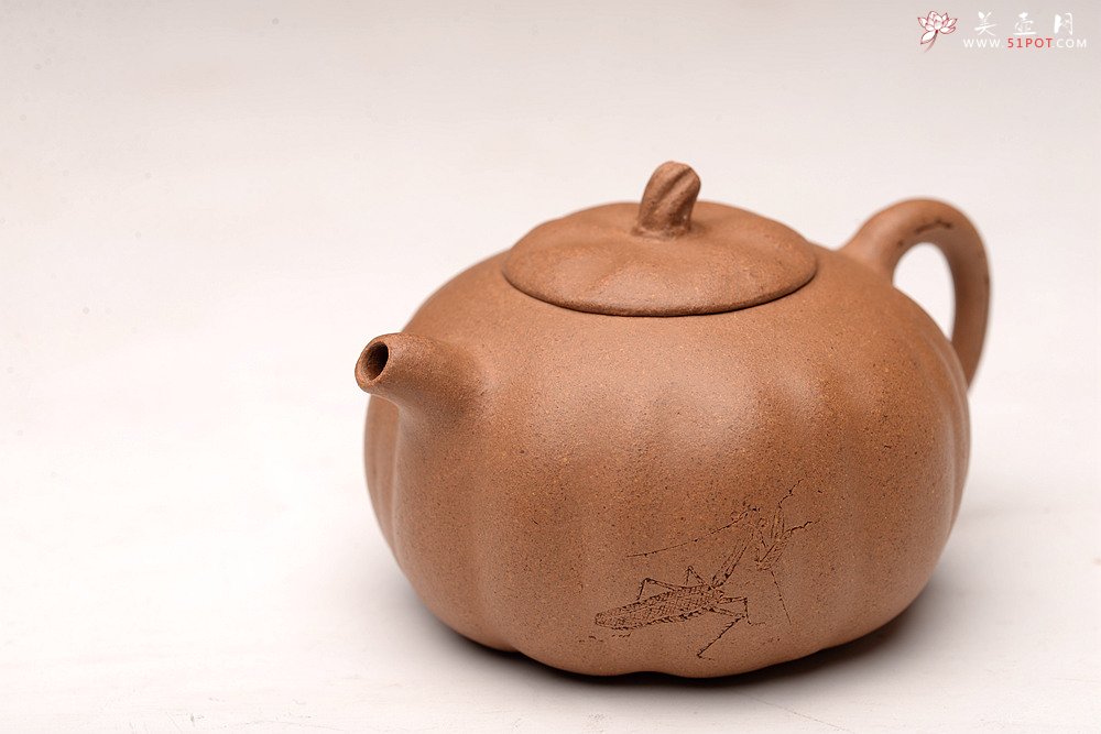 紫砂壶图片：姜建荣全手玩味小南瓜 田园清趣 游心堂主人装饰 - 美壶网