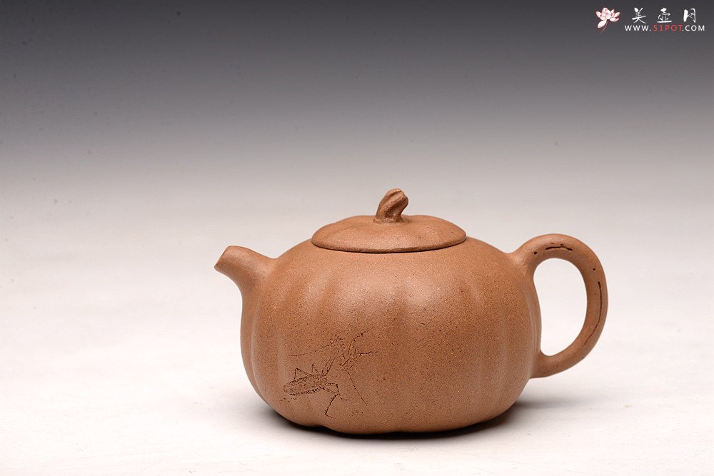 紫砂壶图片：姜建荣全手玩味小南瓜 田园清趣 游心堂主人装饰 - 美壶网