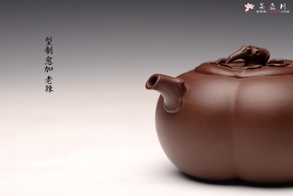 紫砂壶图片：潘丹初丙申春精品 筋囊花货 全手大玉柿 气度饱满 逸品之作 值得珍藏 - 美壶网