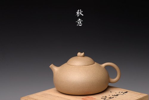 储亚紫砂壶 储亚丙申初夏作品 全手秋意 颇具玩味 荷塘清趣 优质本山段 原矿段泥