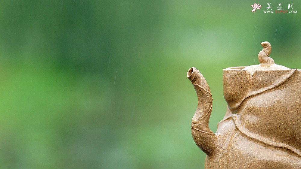 紫砂壶图片：林秀明丙申夏全手原创 摹竹韵寓隐逸之风  隐逸 养怡之福可得永年 - 美壶网