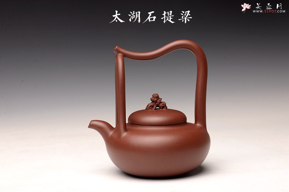 紫砂壶图片：储俊伟丙申夏全手精品 大气磅礴 四号井底槽青 摹古太湖石提梁 - 美壶网