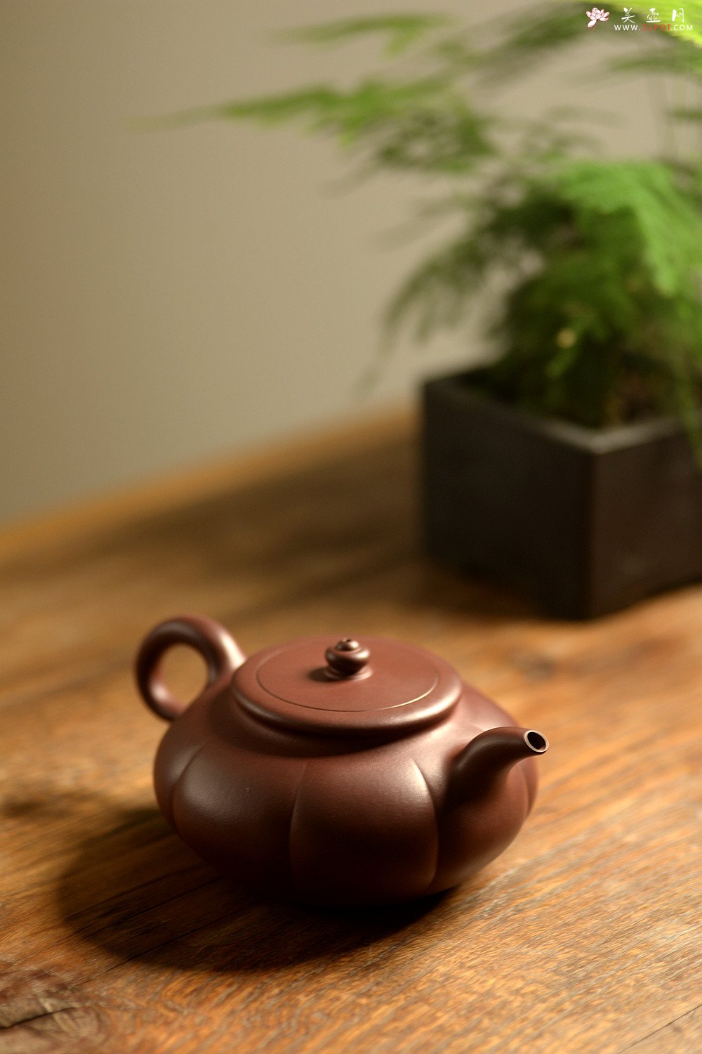 紫砂壶图片：陈进丙申初夏全手新作 筋囊器型 难度之大 端庄优雅 秋蕾 - 美壶网
