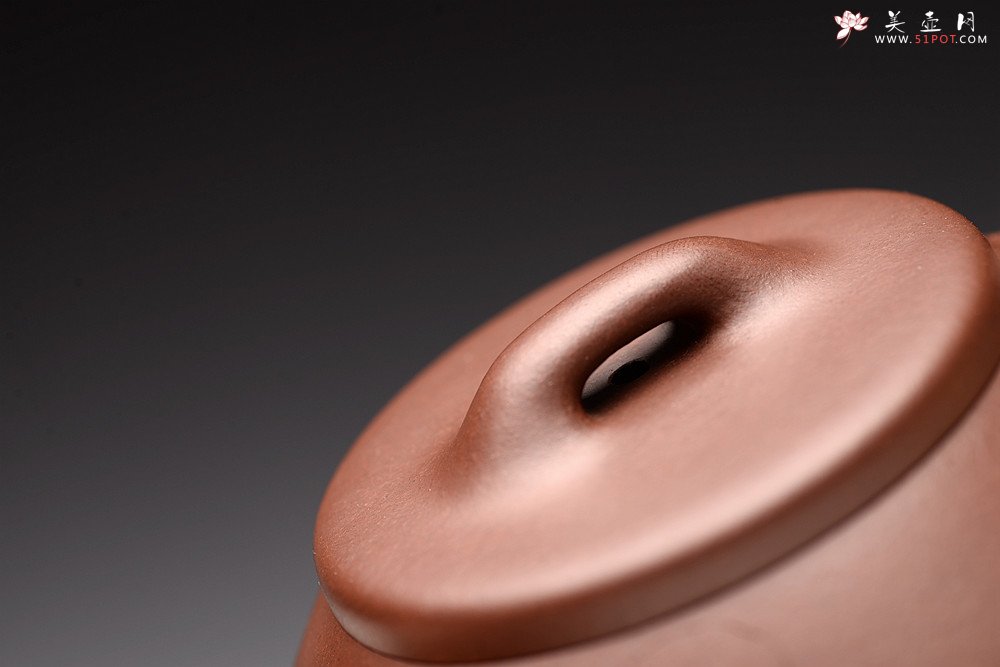 紫砂壶图片：吴杰全手新品 游心堂精心装饰 摹古之东石瓢~ 文气十足 - 美壶网