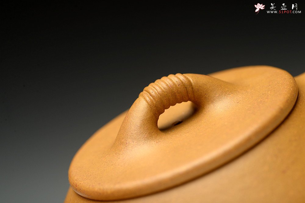 紫砂壶图片：周路健丙申夏全手新作 传统而不失新意 唐彬杰风格线瓢  - 美壶网