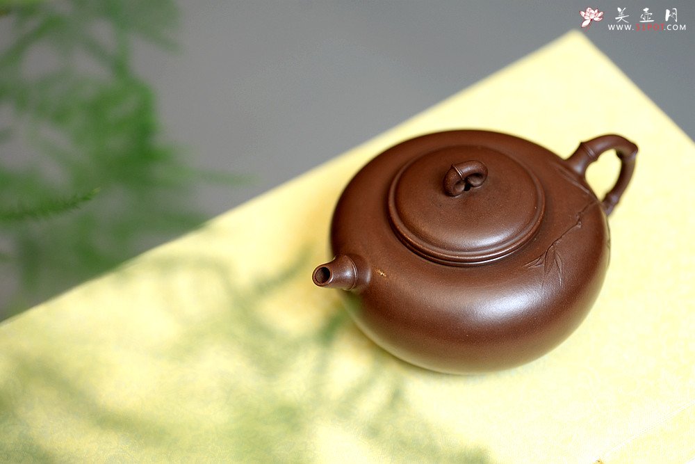 紫砂壶图片：实力派潘丹初丙申夏 优质紫泥  国画入壶 秀雅文气 全手原创福竹o(∩_∩)o - 美壶网
