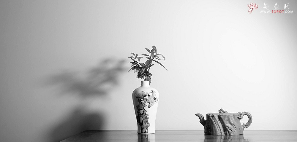 紫砂壶图片：林月长丙申夏全手原创精品 肌理丰富 紫砂新风 学院派 逸林 - 美壶网