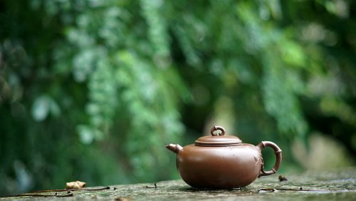 潘丹初紫砂壶 实力派潘丹初丙申夏 优质紫泥  国画入壶 秀雅文气 全手原创福竹o(∩_∩)o 原矿紫泥