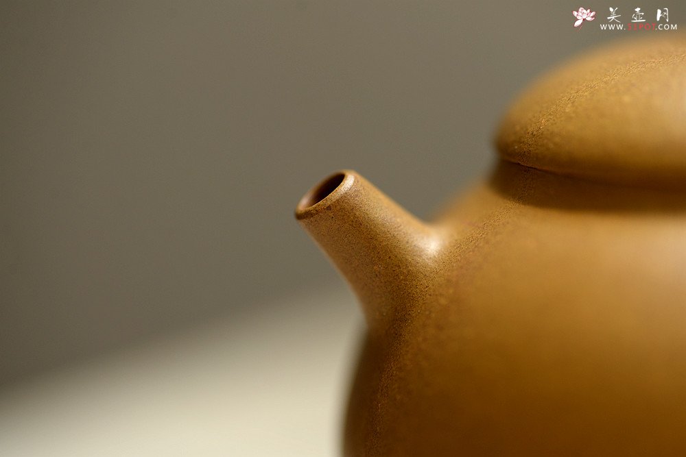 紫砂壶图片：周路健丙申夏全手薄胎 娇小迷人 马景辉款式 全手工西施    - 美壶网