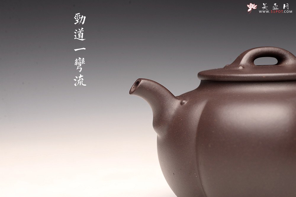 紫砂壶图片：钱林芳丙申夏全手作品 饱满大气 筋纹佳作 锦如 - 美壶网