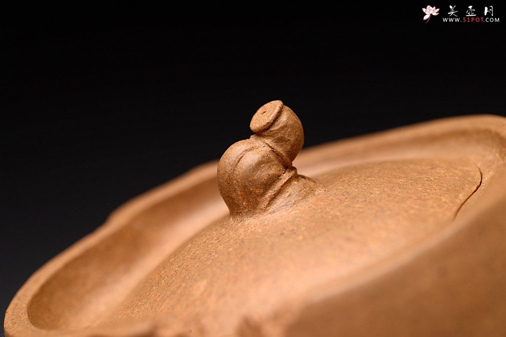 紫砂壶图片：林秀明丙申夏 全手精品 文心入泥 原创作品 永怡 灵秀玩味 - 美壶网