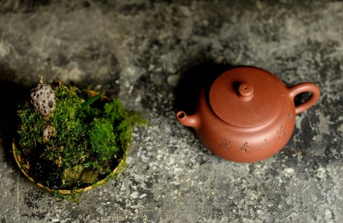 美壶定制紫砂壶 美壶特惠 温文尔雅 大方实用 饮乐 型制耐品 出水暴爽 原矿降坡泥