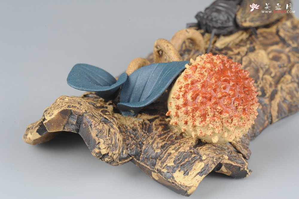 紫砂壶图片：美宠特惠 荔枝熟了，知了声声叫着夏天 - 美壶网