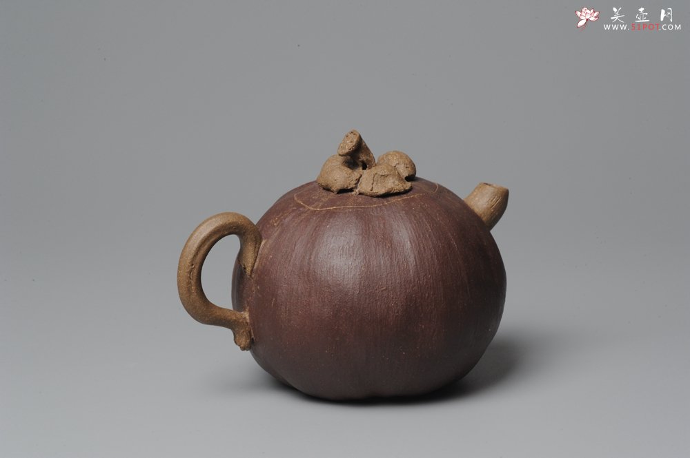 紫砂壶图片：全手工仿生花货 山竹 - 美壶网