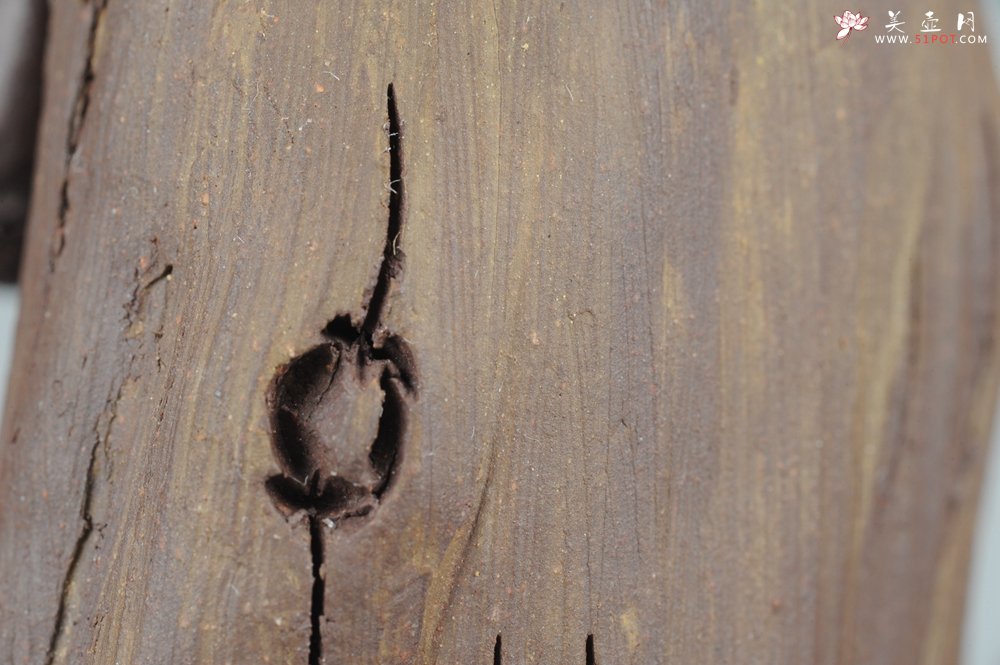 紫砂壶图片：大号树桩达摩 神态生动 精致茶宠 - 美壶网