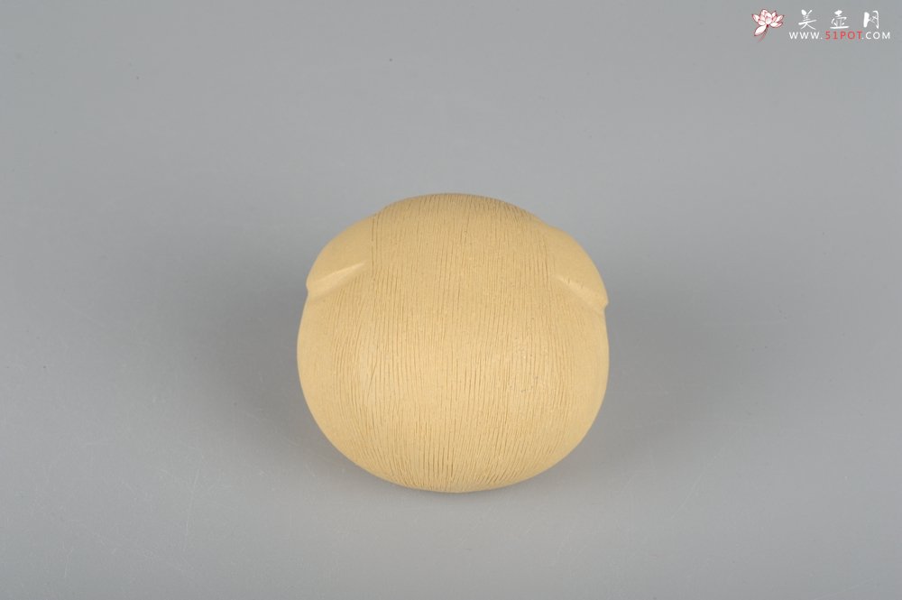 紫砂壶图片：美宠特惠拉毛小猪茶宠摆件 随机发一只 - 美壶网