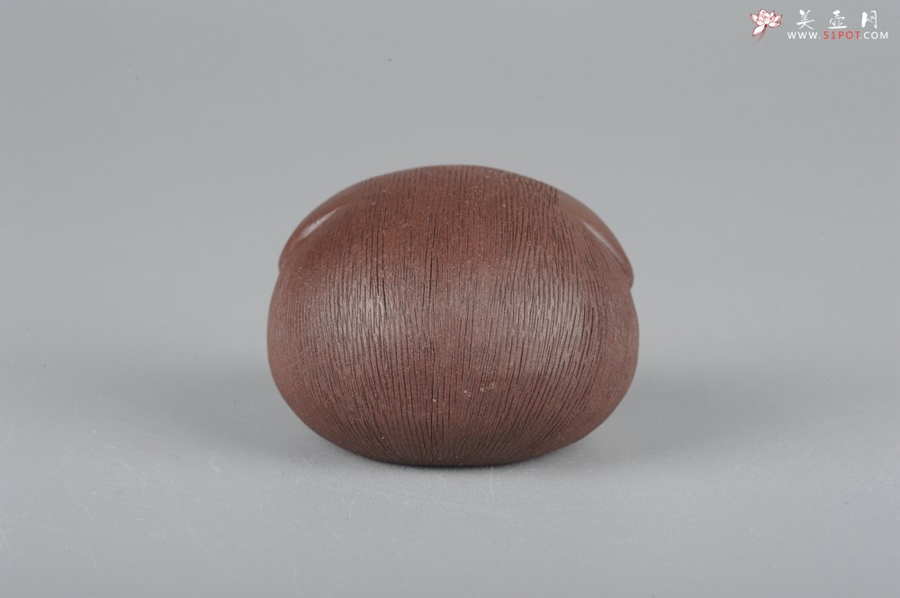 紫砂壶图片：美宠特惠拉毛小猪茶宠摆件 随机发一只 - 美壶网