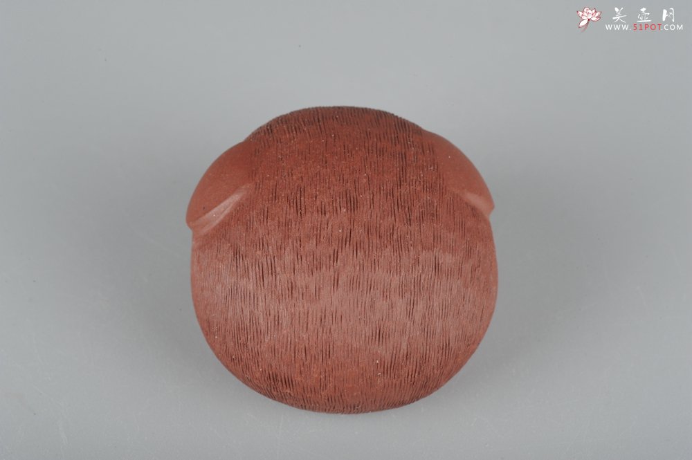 紫砂壶图片：美宠特惠拉毛小猪茶宠摆件 随机发一只 - 美壶网