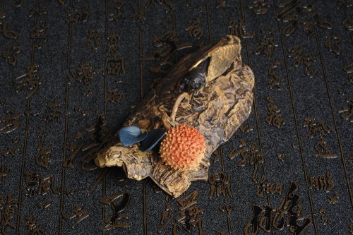 美壶定制紫砂壶 美宠特惠 荔枝熟了，知了声声叫着夏天 