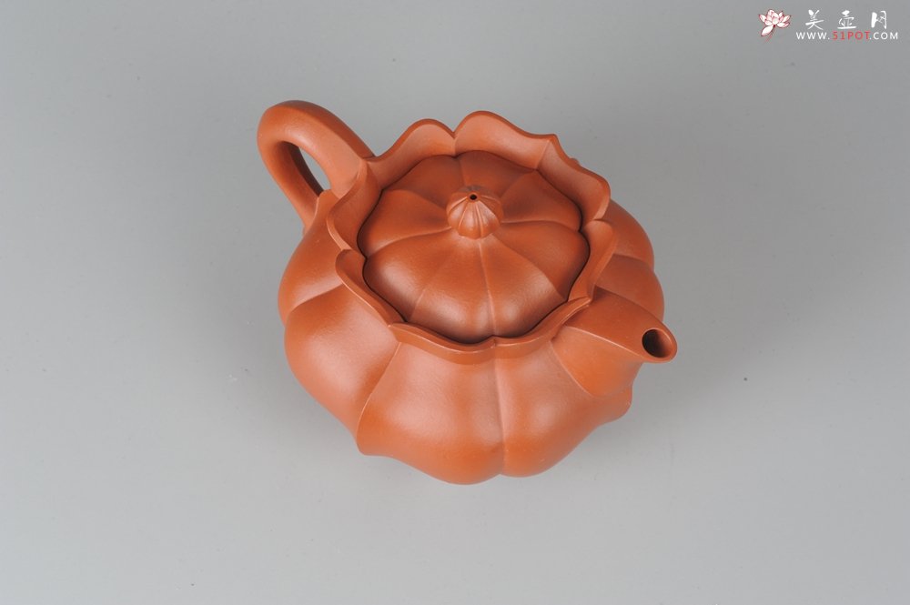 紫砂壶图片：优质小红泥莲花僧帽 线条干净利落 - 美壶网