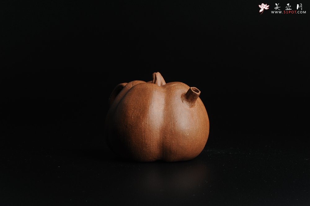 紫砂壶图片：仿生小花货 全手工文人小南瓜二式  - 美壶网