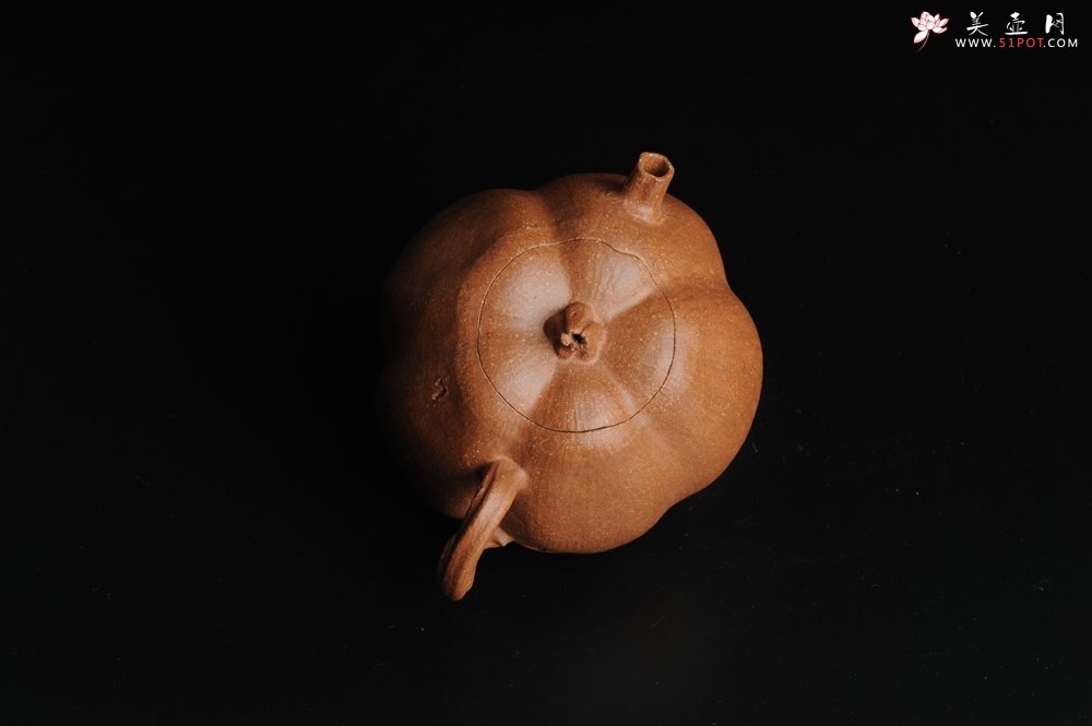 紫砂壶图片：仿生小花货 全手工文人小南瓜二式  - 美壶网