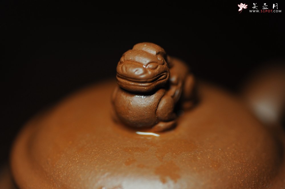 紫砂壶图片：美壶年底特惠 精品立狮壶 请君细品 - 美壶网