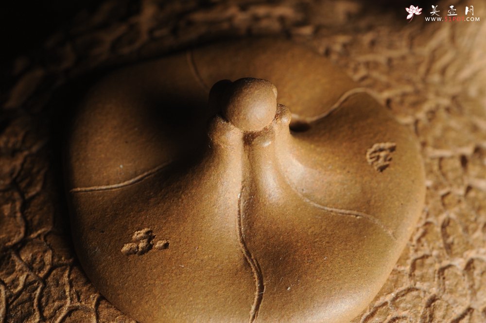 紫砂壶图片：美壶特惠 优质黄金段全手工龚春 供春 异型盖 难度大 肌理丰富 - 美壶网