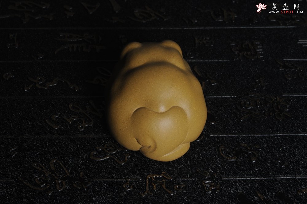 紫砂壶图片：美宠特惠 油润黄金段萌萌蛤蟆茶宠 做工超精致 长6.5cm宽5.5cm高4cm - 美壶网