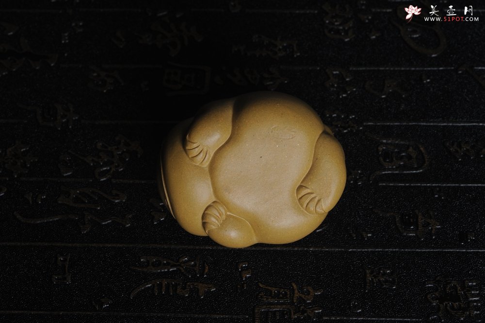 紫砂壶图片：美宠特惠 油润黄金段萌萌蛤蟆茶宠 做工超精致 长6.5cm宽5.5cm高4cm - 美壶网