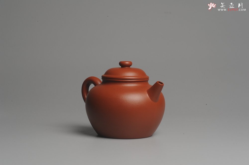 紫砂壶图片：美壶特惠 非铁红色素泥 优质朱泥大彬圈钮 - 美壶网